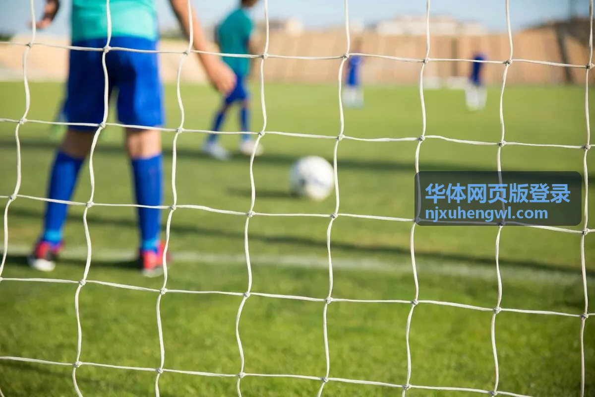 华体网页版登录入口页面示意