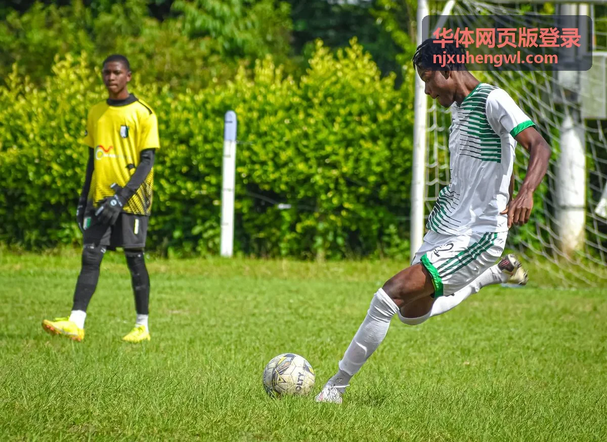 华体网页版登录地址栏核对