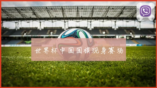 世界杯中国国旗现身赛场