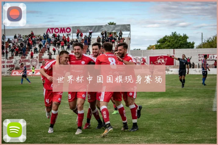 世界杯中国国旗现身赛场