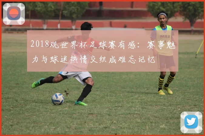 2018观世界杯足球赛有感:赛事魅力与球迷热情交织成难忘记忆